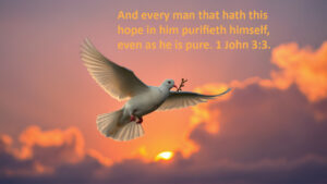 What shall I do to be saved?