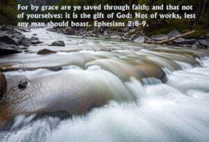 Faith the condition of promise