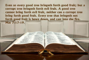 Faith the condition of promise